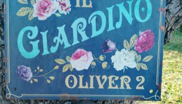 Appartamento Oliver2 - Foto 4