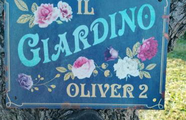 Appartamento Oliver2 - Foto 4