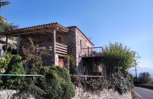 The Artist's House - Photo 45