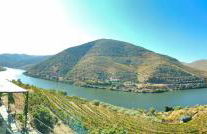 Wine House - Quinta Vale de Carvalho - Foto 39