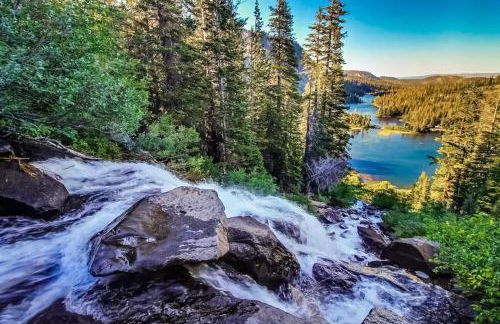 Mammoth Green - 207 - Foto 35