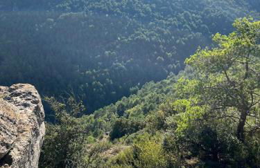 Masiadenjust - Foto 74