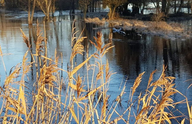 5 Person Holiday Home in Morlunda - Foto 56