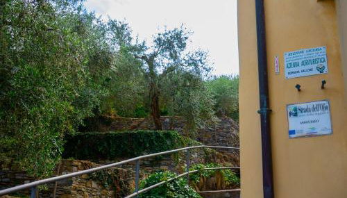 HOST4U - BORGATA VALLONE Apartments with Stunning Garden and Parking - Foto 4