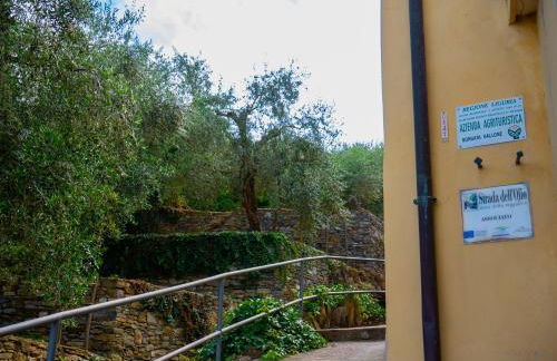 HOST4U - BORGATA VALLONE Apartments with Stunning Garden and Parking - Foto 4