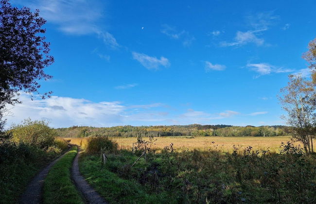 4 Person Holiday Home in Odder - Foto 14