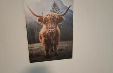 Hochwald chalet - Photo 14