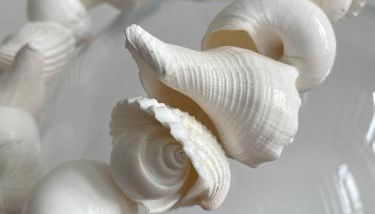 LutherStudios - Foto 4