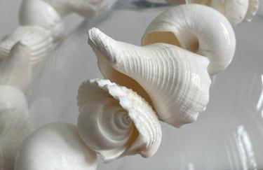 LutherStudios - Foto 4