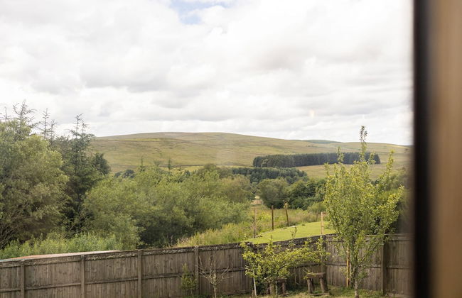 Host Stay Crackin View - Foto 39