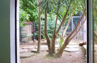 Family Secrets Santo André - Foto 34