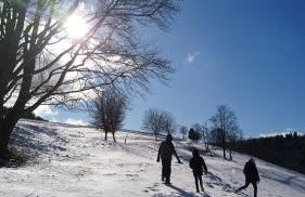 Gasthaus Piesau - Thüringer Wald - Rennsteig - Foto 62