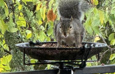 Family Experiences - Fishing Archery Unit C - Foto 15