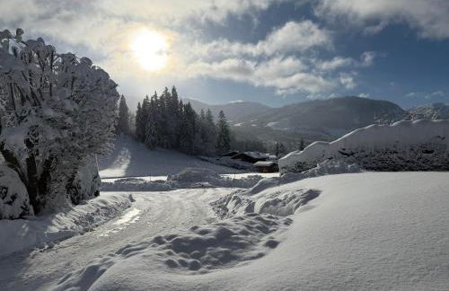 Marmotte du Jaillet Cosy and charmant appartement - Foto 41