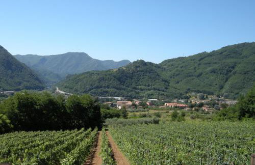 Agriturismo Tenuta La Fratta - Foto 80