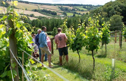 Couples Retreat in Beautiful West Devon Countryside - Foto 32