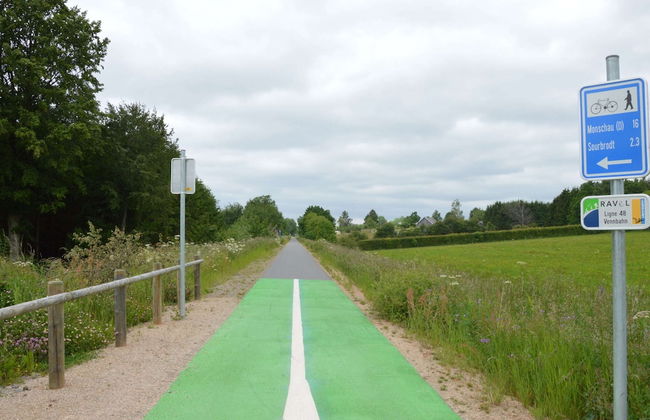 Apartment in Weywertz Near Ski Slopes - Photo 31