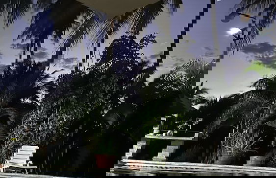 Paradise Bay - Foto 31