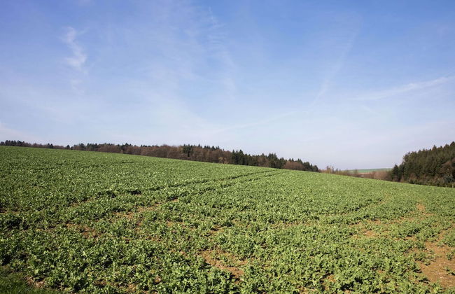 Flat in Beltheim With Pool - Foto 30