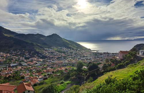 Adega Studio - Foto 1