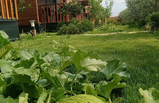 Riviera Bungalow Evleri Demre - Photo 68