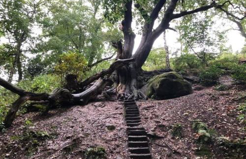 Luxury Village Cottage on doorstep of Alton Towers - Foto 32