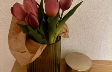 Casa D' Oliveira - Foto 31