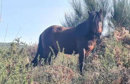 Casa Beira Rio - Foto 12