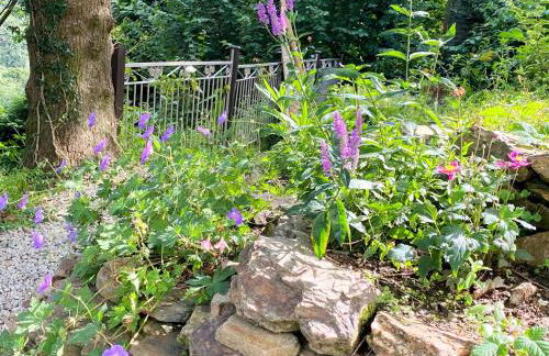 Old Miners Cottage - Foto 34