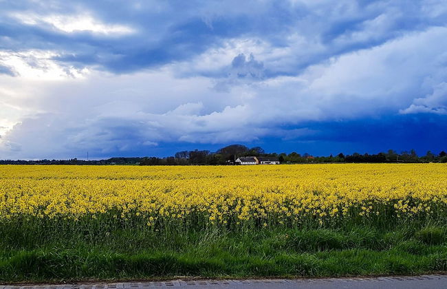 6 Person Holiday Home in Graested - Photo 21