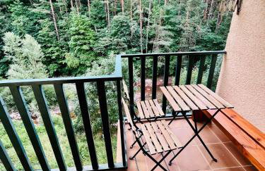 El refugio de la ardilla, apartamento Canfranc-estacion - Foto 10