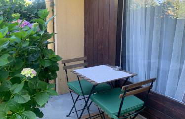 Studio touristes curistes , jardin terrasse - Foto 4