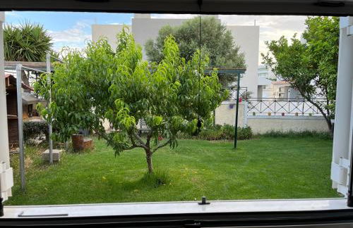 Σπιτάκι στον κήπο - Foto 27