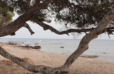 Beautiful apartment with terrace - Saint-Raphaël - Foto 18