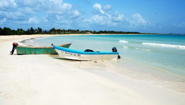 Saona Island - Full-Day Tour with Hotel Pick-Up - Foto 3