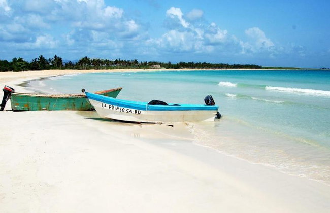 Saona Island - Full-Day Tour with Hotel Pick-Up - Foto 3