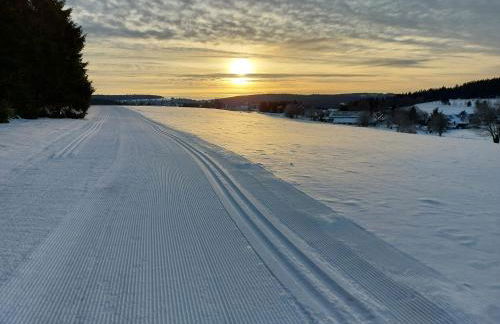 Ferienhaus Waldblick - Foto 29