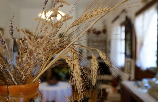 Traditional Cretan Family Home - Foto 30