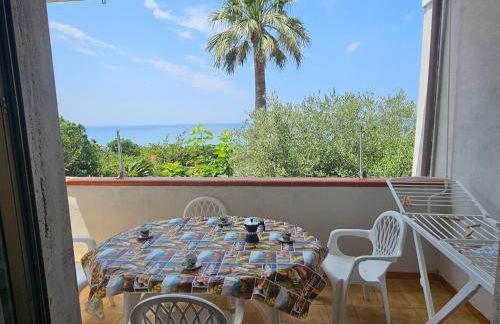 Da mia zia - Foto 34