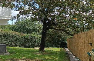 Alojamiento Casamar, con jardín - Foto 19