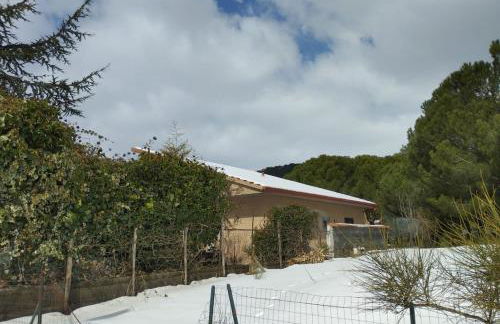 Casetta sull’Etna - Foto 49