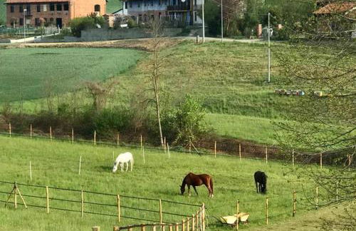Appartamento in cascina -la cascinetta di Ali- - Foto 1