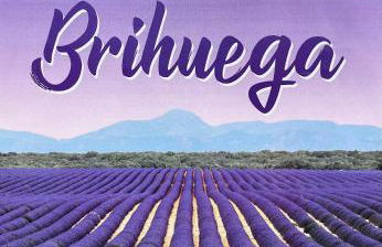 Casa del Espliego - Foto 43