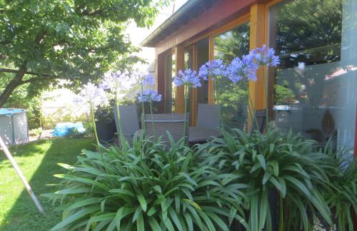 Gartenhaus Klotzsche - Foto 14