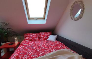 Ropienka ski micro - Foto 15