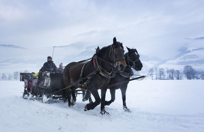 Superior Ferienhaus # 4C mit Sauna - Foto 17