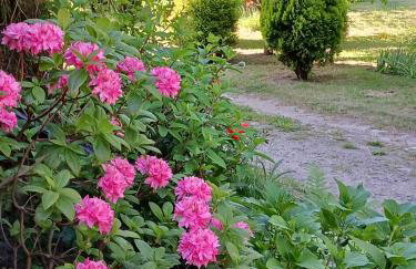 Agroturystyka Pod Dębem - Foto 28