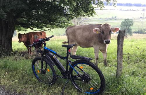 Landhaus Silbach - Photo 45