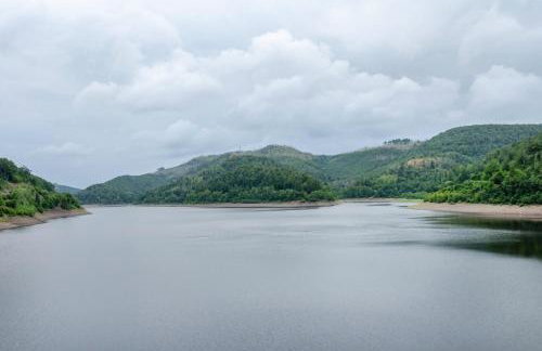 Haus am Rand des Harz - Photo 11