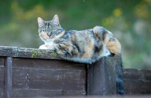 Room with a view - Photo 46